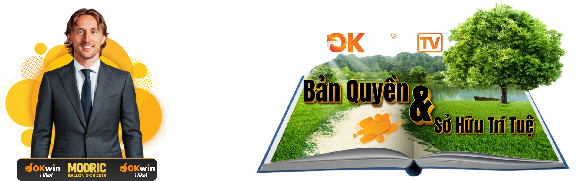 ĐIỀU KHOẢN SỬ DỤNG OKWIN - Bản Quyền & Sở Hữu Trí Tuệ